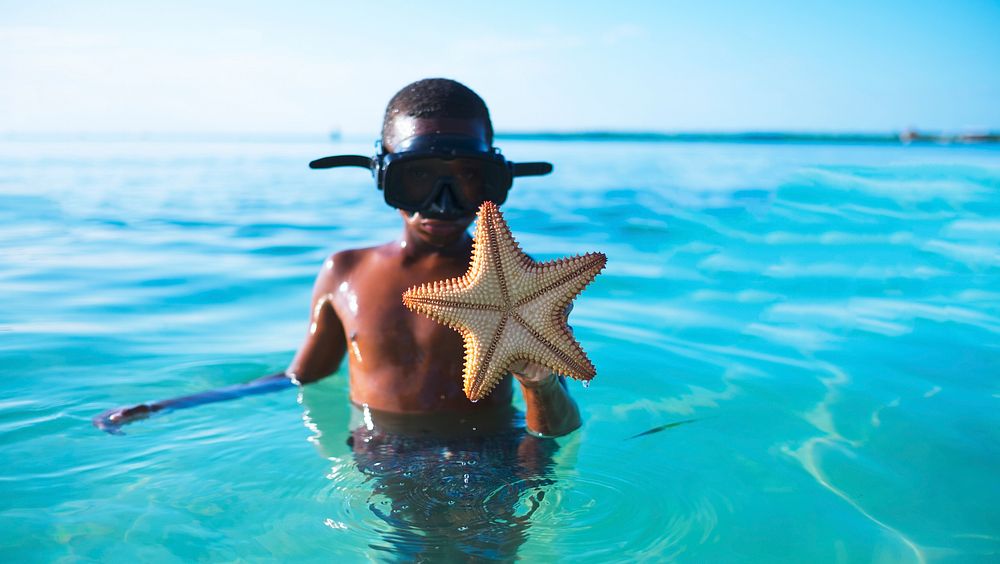 Kid with goggles holding up starfish from ocean, location unknown, 24 March 2017. View public domain image source here