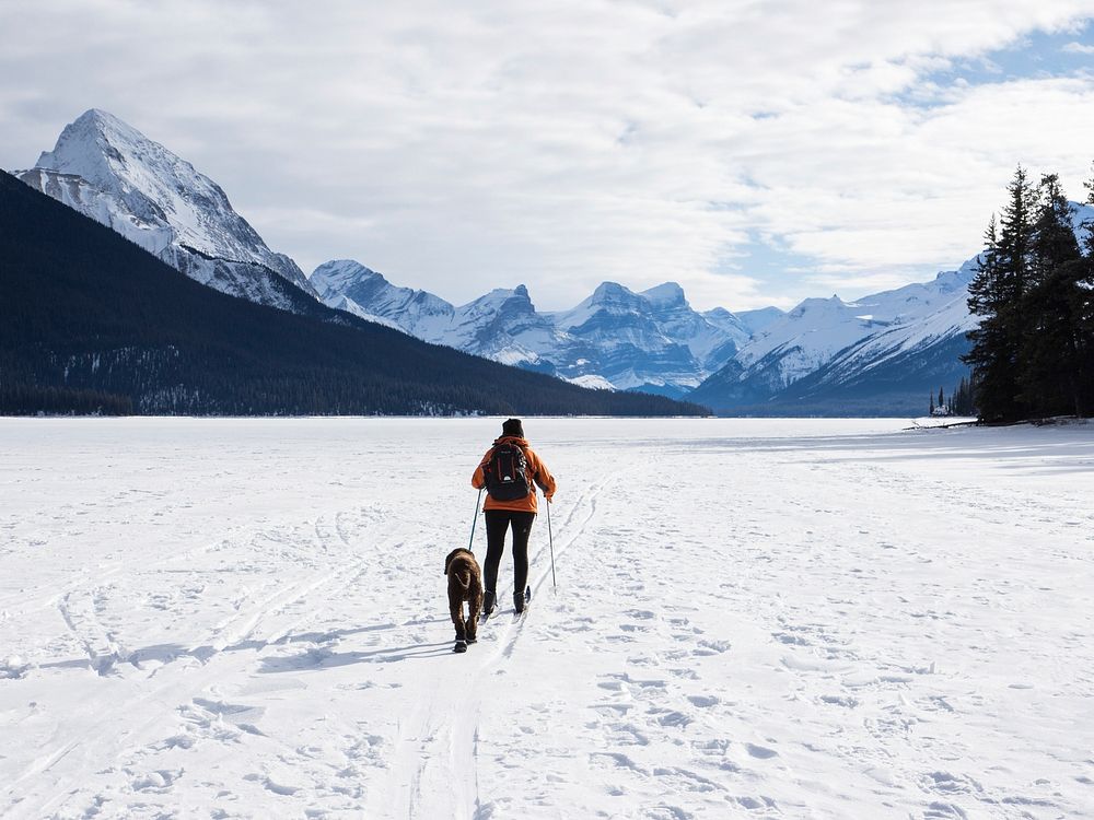 Free a person skiing with dog on snow image, public domain animal CC0 photo.