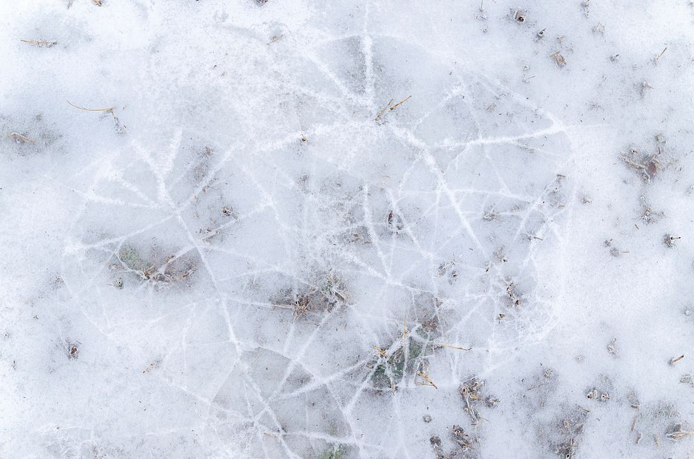 Free ice ground background image, public domain winter CC0 photo.