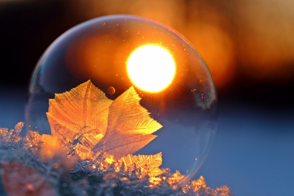 Frozen bubble in the morning. Free public domain CC0 photo.