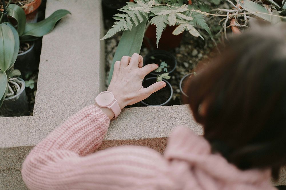 Free woman doing planting image, public domain nature CC0 photo.