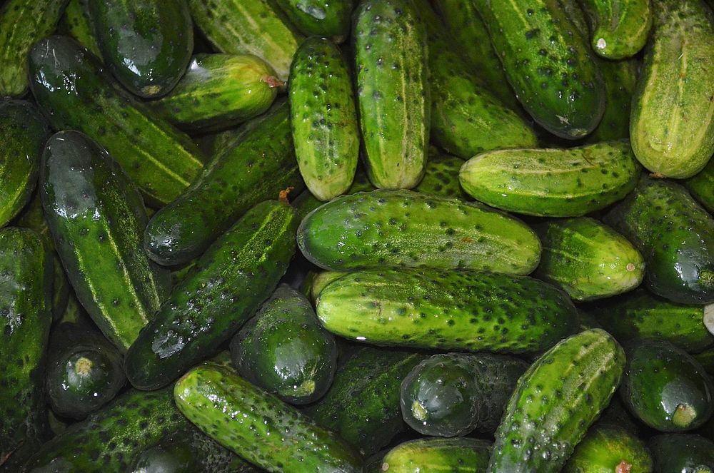 Free pickled cucumbers background photo, public domain vegetables CC0 image.
