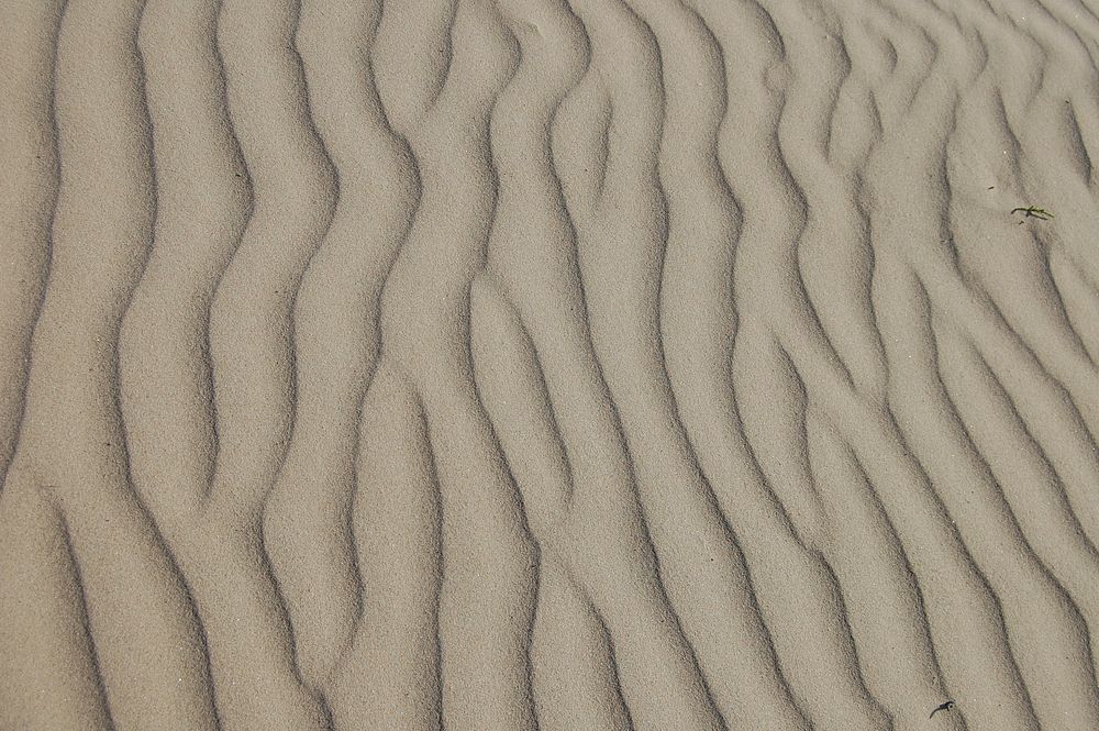 Free sand closeup image, public domain nature CC0 photo.