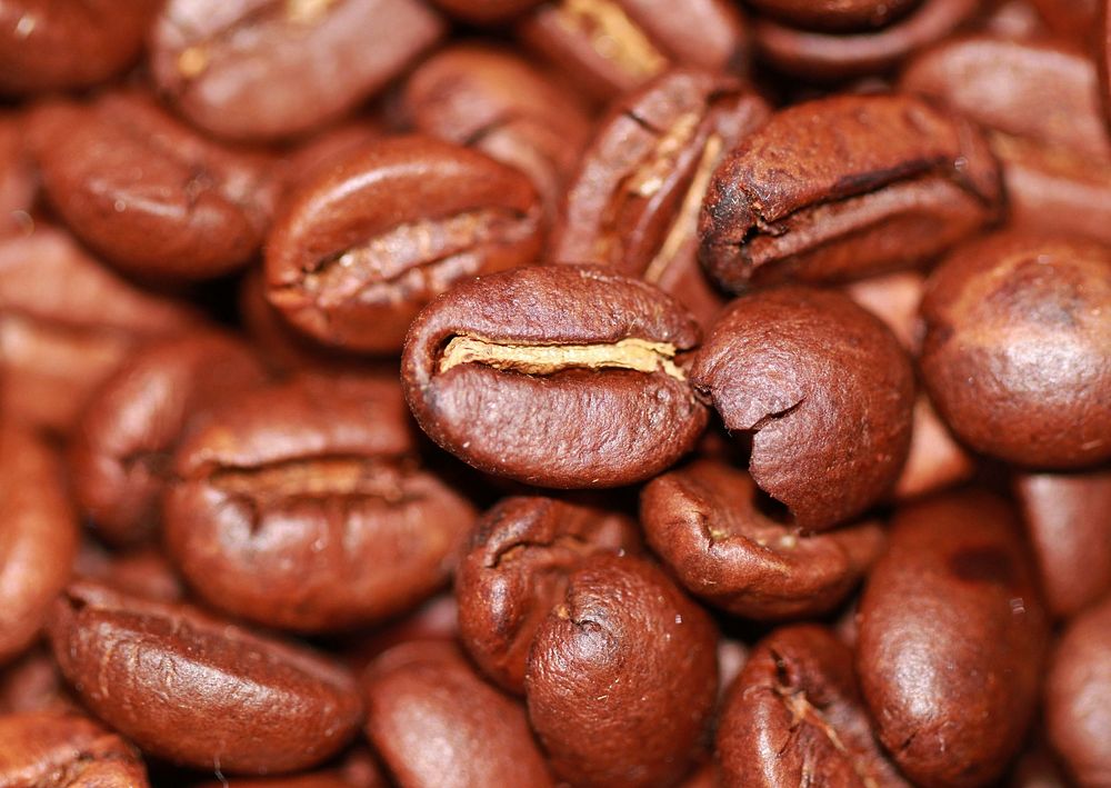 Free coffee beans image, public domain food & beverage CC0 photo.