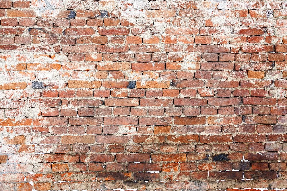 Free brick wall image, public domain architecture CC0 photo.