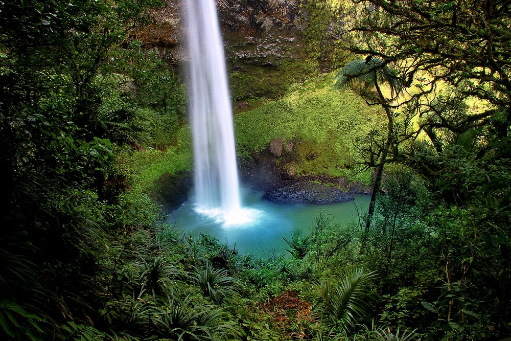 Free waterfall in green forest photo, public domain nature CC0 image.