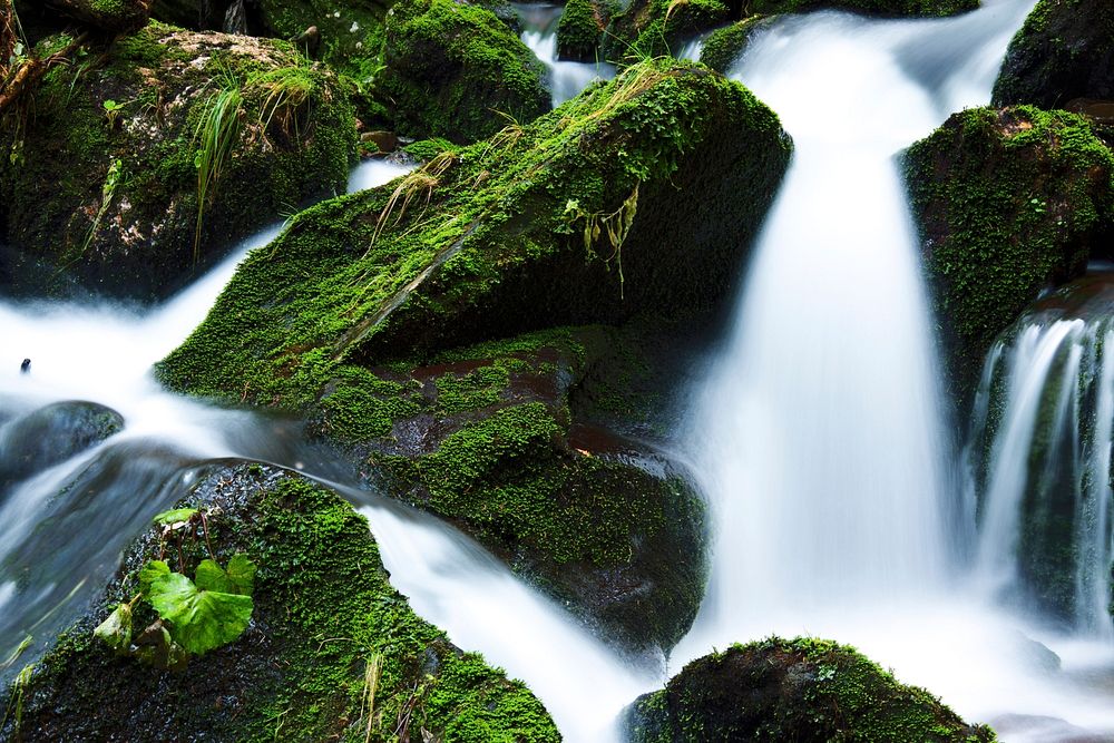 Free waterfall in green forest photo, public domain nature CC0 image.