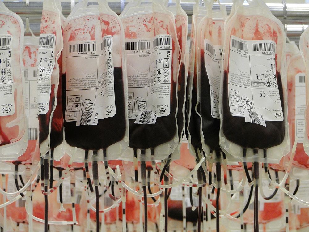 Blood donation. Free public domain CC0 photo, free public domain CC0 image.