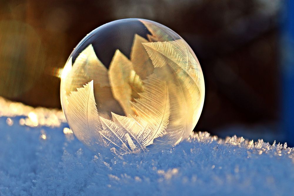Free frozen bubble in winter image, public domain nature CC0 photo.