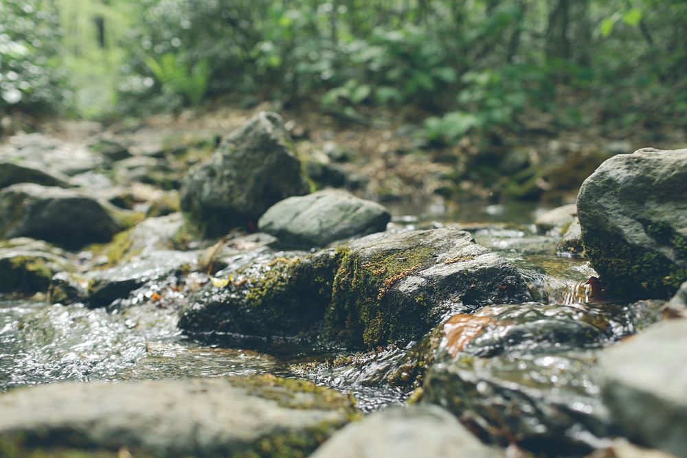 Free rocky stream image, public domain nature CC0 photo.