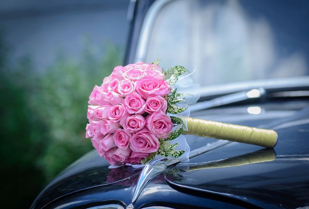 Free pink rose bouquet image, public domain nature CC0 photo.
