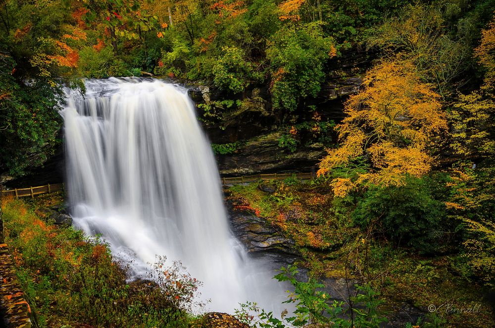 Free autumn forest with waterfall photo, public domain nature CC0 image.