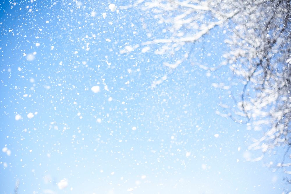 Winter frozen fir tree aerial view photo, free public domain CC0 image.