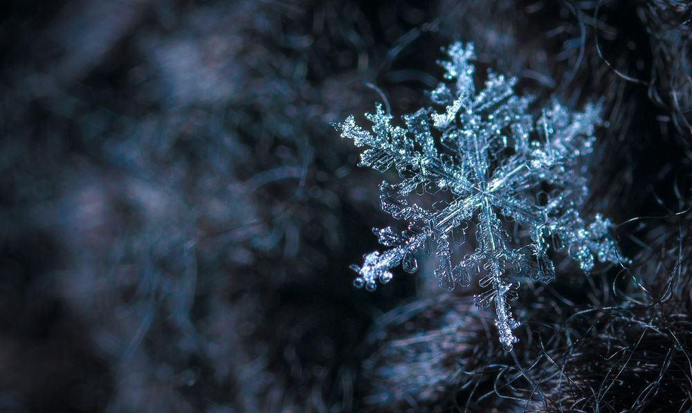 Free snowflakes background image, public domain winter CC0 photo.