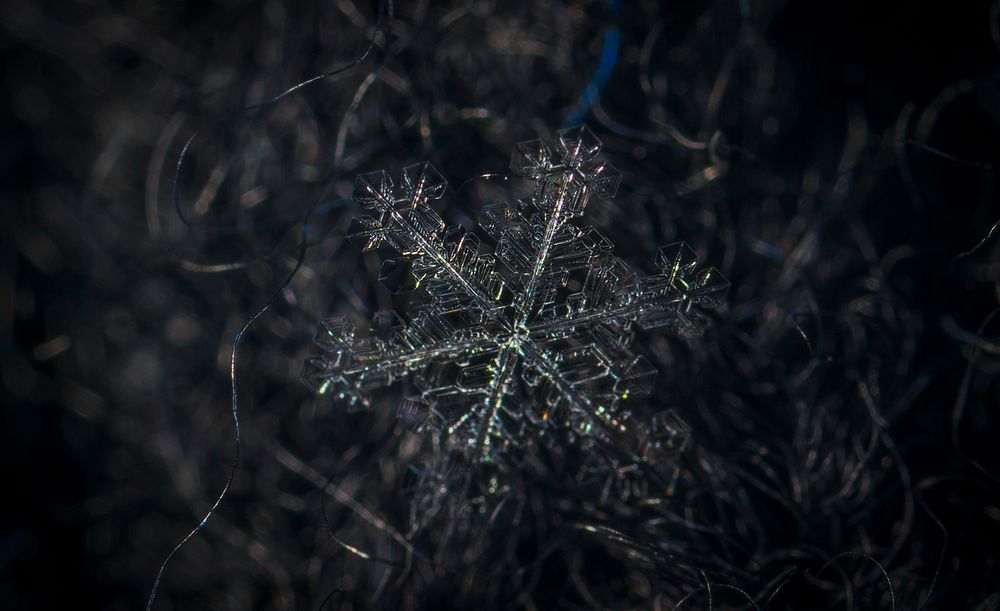 Free snowflake close up image, public domain winter CC0 photo.