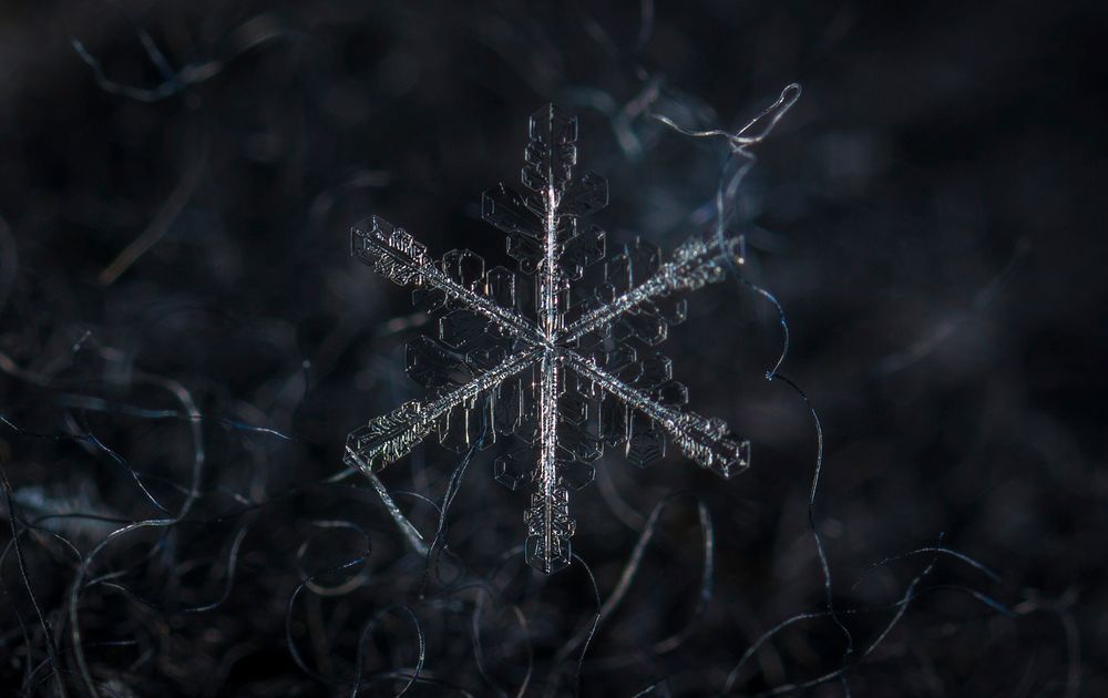 Free snowflake close up image, public domain winter CC0 photo.