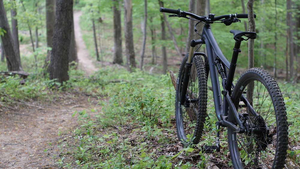 Free black bike in the woods image, public domain nature CC0 photo.
