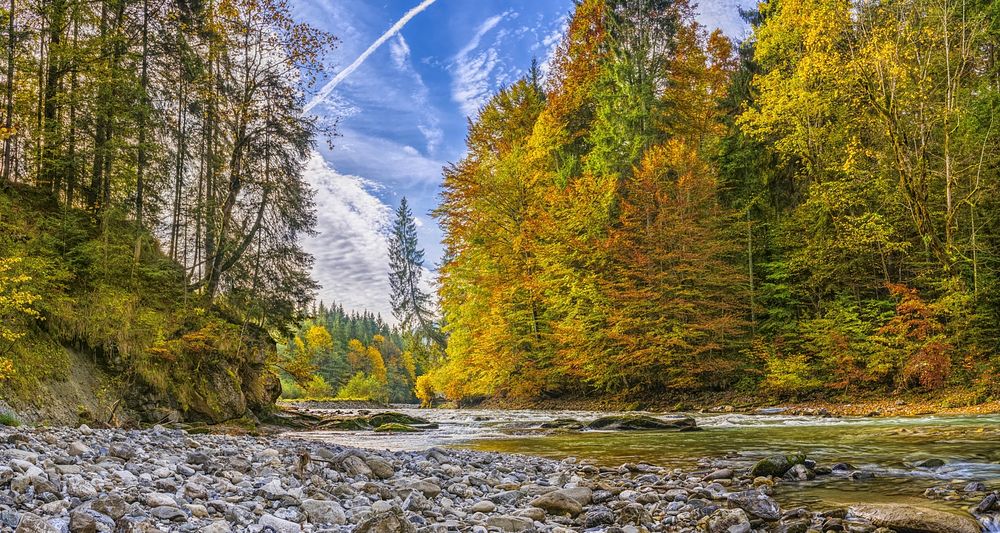 Free river in green forest image, public domain nature CC0 photo.