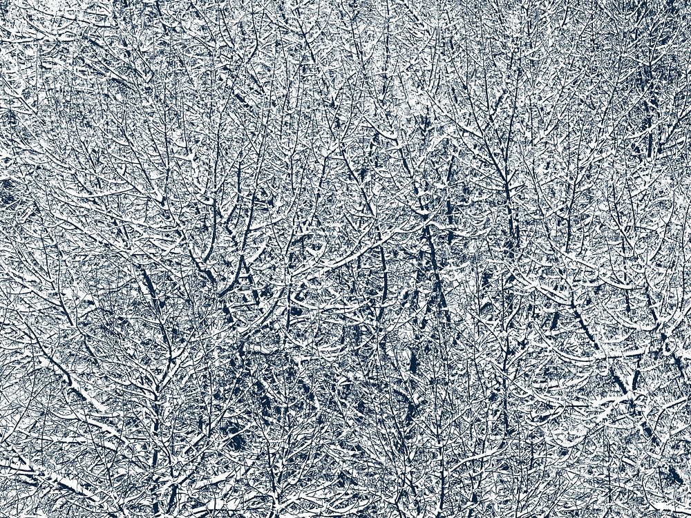 Free winter branch background image, public domain tree CC0 photo.