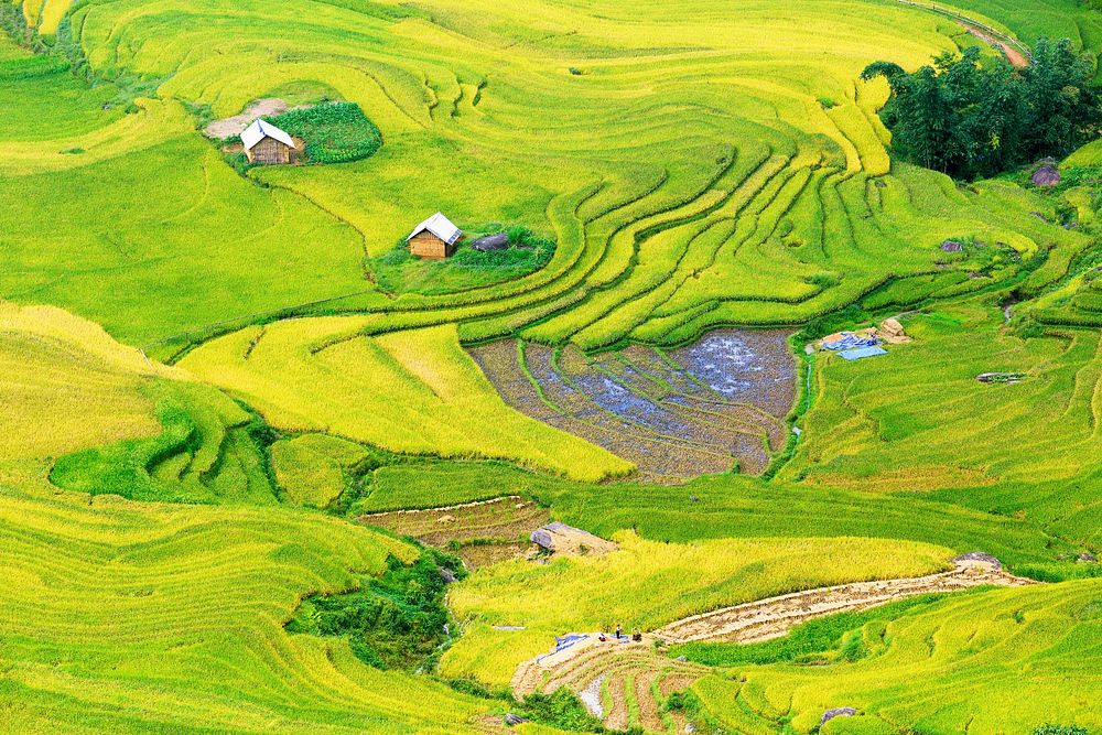 Free terraced field image, public domain nature CC0 photo.