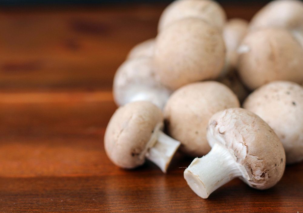 Free close up white mushroom image, public domain vegetable CC0 photo.