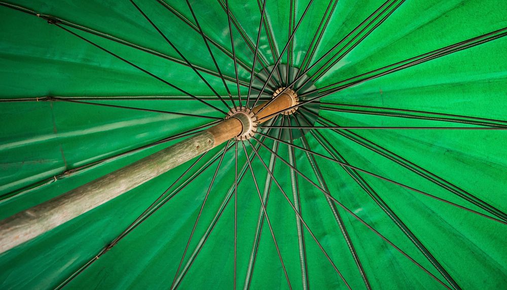 Green umbrella wallpaper, free public domain CC0 image.