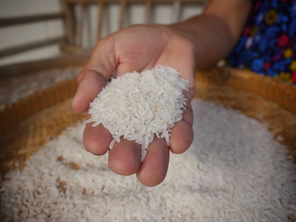 Free hand holding white rice image, public domain food CC0 photo.