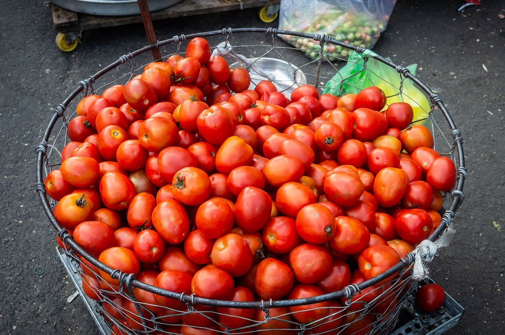 Free image of red tomatoes in a big basket, public domain CC0 photo.