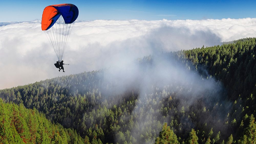 Free parachuting activity above the forest public domain CC0 photo