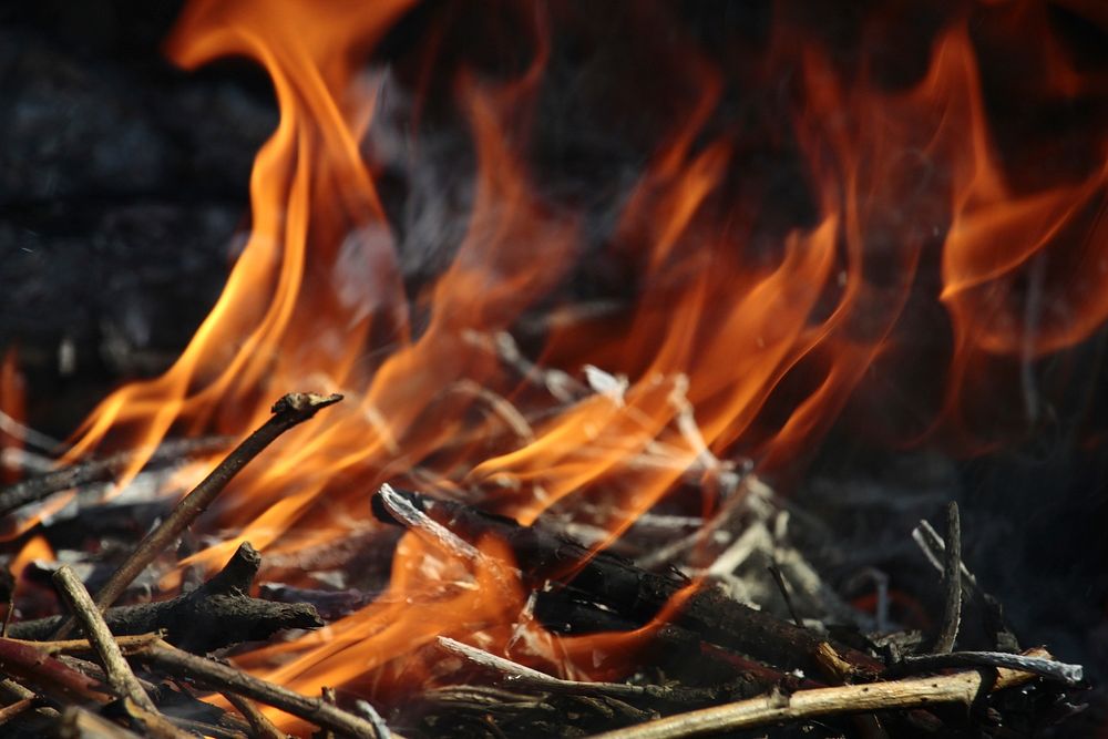 Free close up burning wood stick image, public domain CC0 photo.