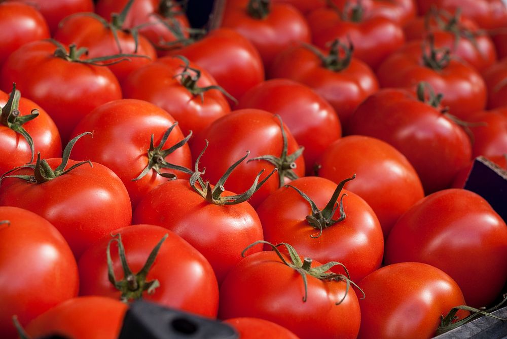 Free pile of red tomatoes image, public domain CC0 photo.