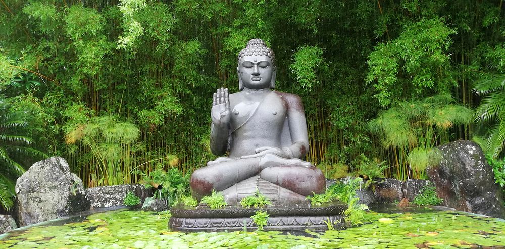 Big stone Buddha statue in forest background, free public domain CC0 photo.