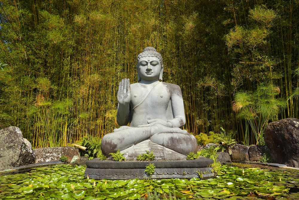 Big stone Buddha statue in forest background, free public domain CC0 photo.