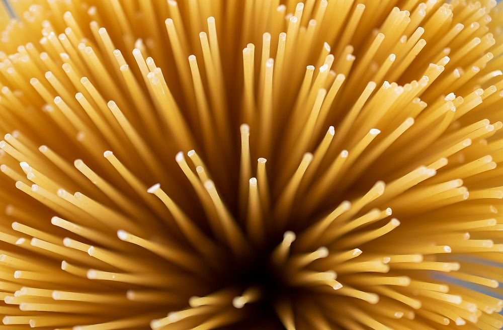 Free spaghetti image, public domain food CC0 photo.