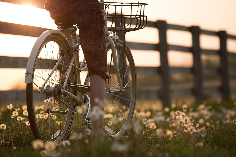 Free cycling on a grass field image, public domain activity CC0 photo.