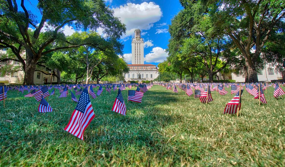 Free American flags on yard image, public domain CC0 photo.