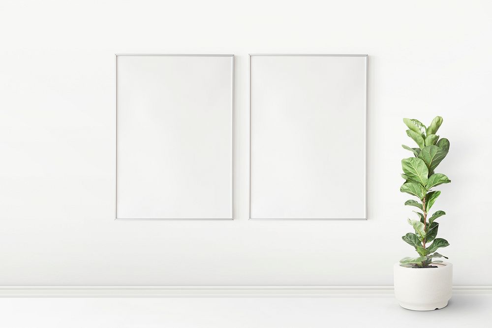 Empty white room interior design with blank frames