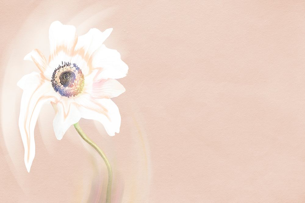Flower background PSD, beige anemone psychedelic art
