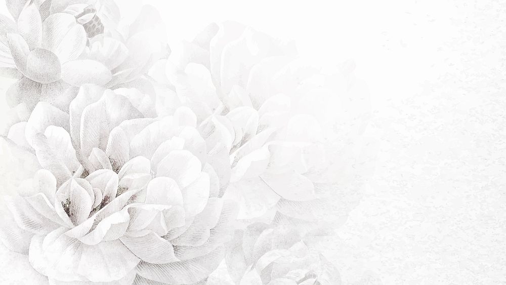 White floral desktop wallpaper, aesthetic background, remixed from vintage public domain images