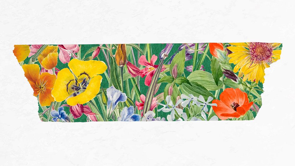 Floral collage washi tape, DIY vector decorative scrapbooking