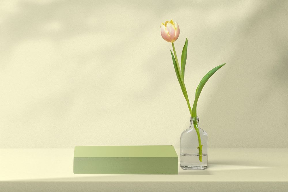 Flower product backdrop with tulip in green