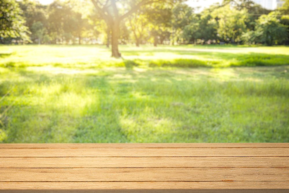 Nature product backdrop, green backyard