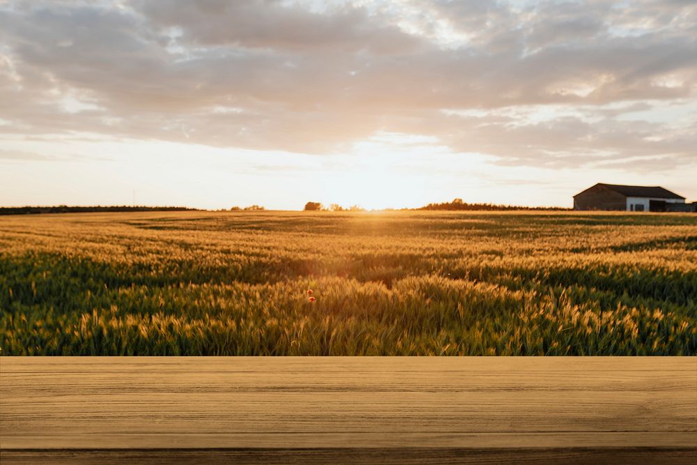 Nature product backdrop, farm and sunlight