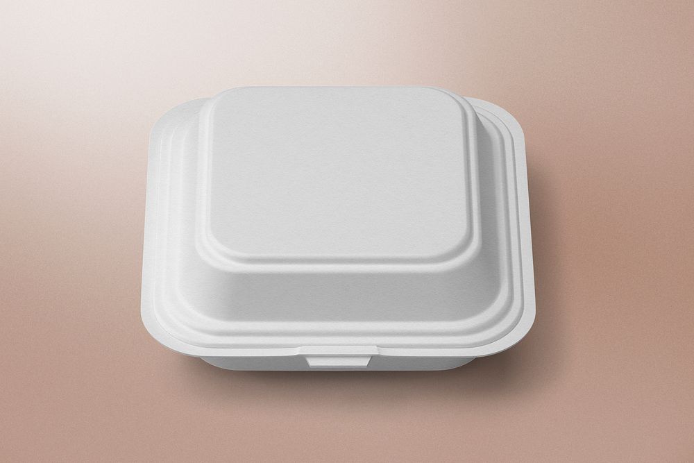 Takeout container, food packaging for small business