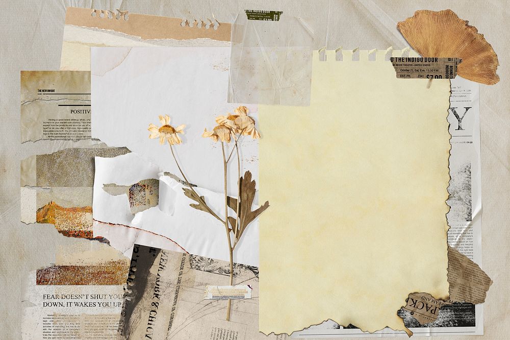 Vintage autumn moodboard mockup, instant film photo with dried flower psd