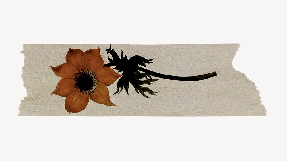 Vintage washi tape clipart, floral collage element psd