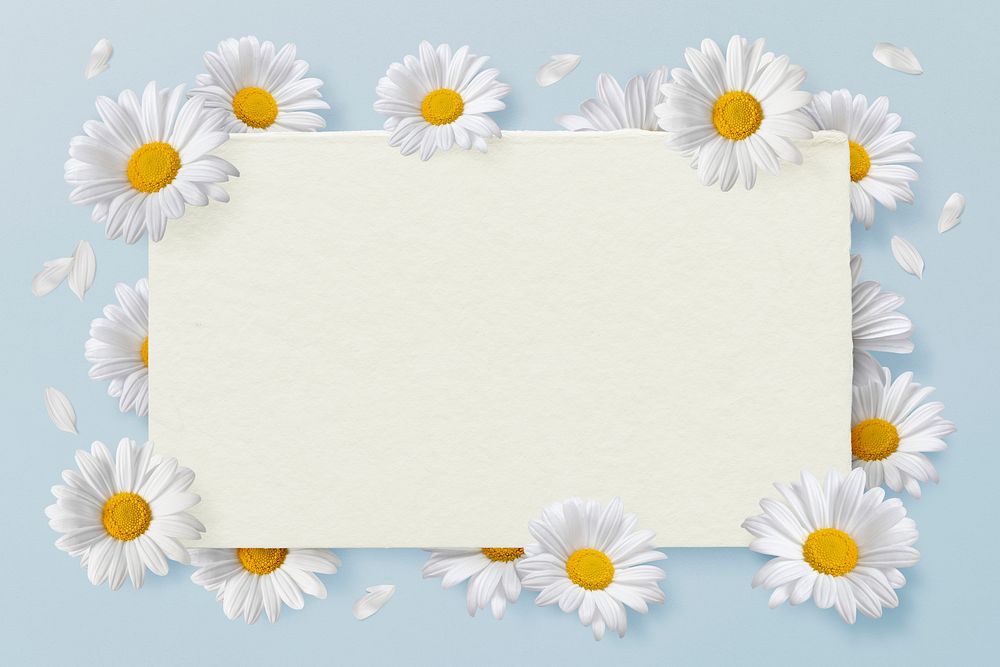 Daisies flower frame background, botanical psd design