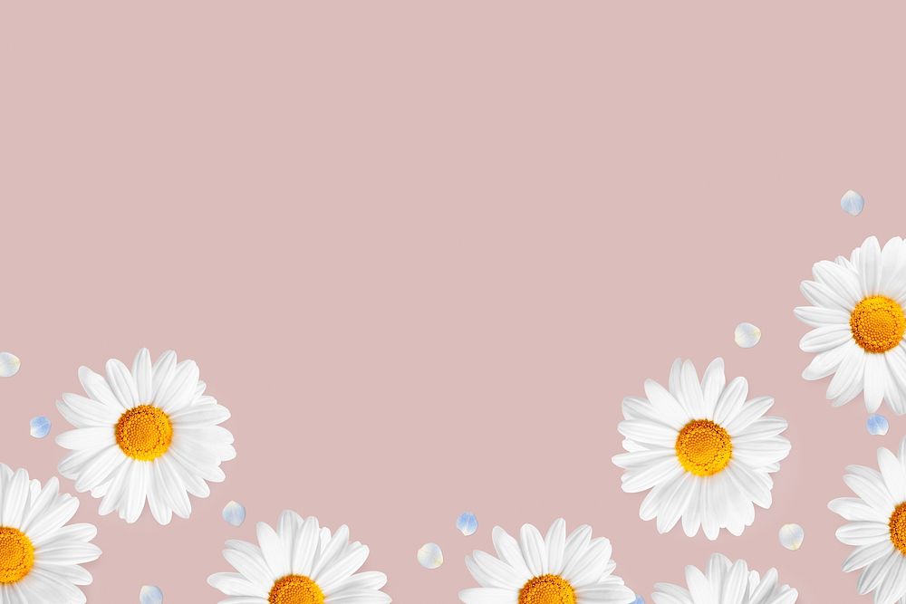 Floral border background, flower, botanical