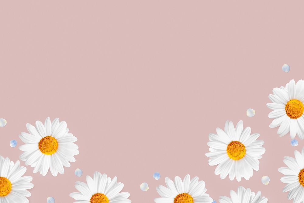 Daisy flowers border background, botanical psd design