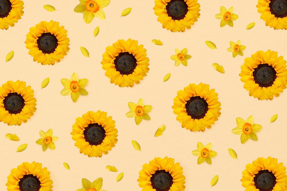 Sunflowers pattern background, botanical flower psd
